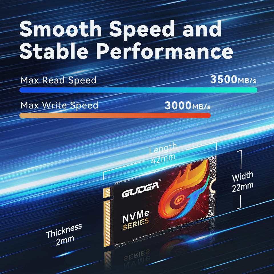 GUDGA M.2 NVMe 2242 SSD
